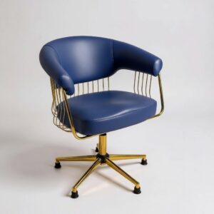 Kuaför Tarama ve Saç Kesim Koltuğu - Gold telli Lacivert